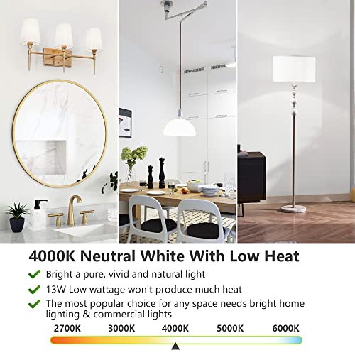 A19 LED Light Bulbs (4 Count)