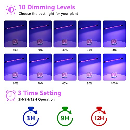 LED Black Light 4
