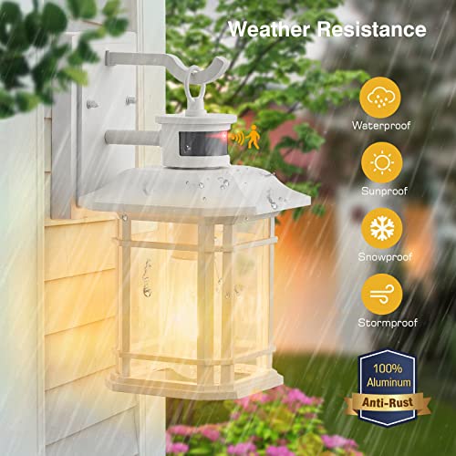 Outdoor Motion Lights for House