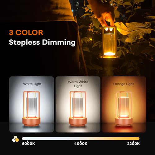 Rechargeable Cordless Small Metal Table Lamp