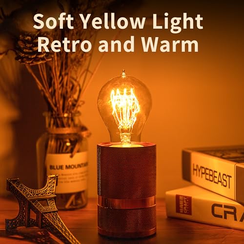 Warm Incandescent Light Bulbs 60 Watt (6 Count)