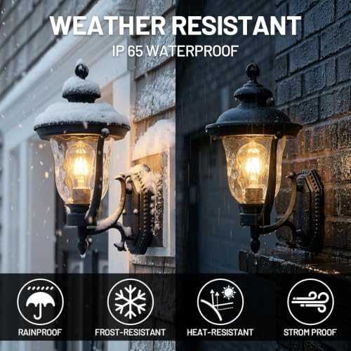 Wall Mounted Outdoor Light Fixtures (2 Count)