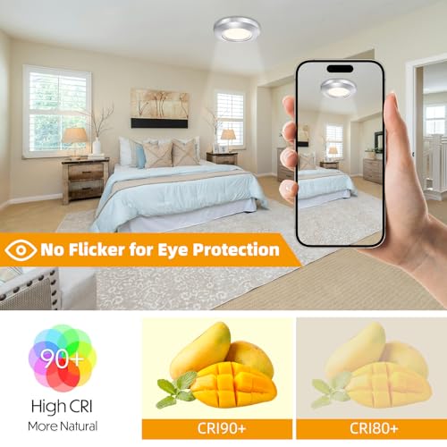 5.5 Inch Dimmable LED Disk Light (2 Count)