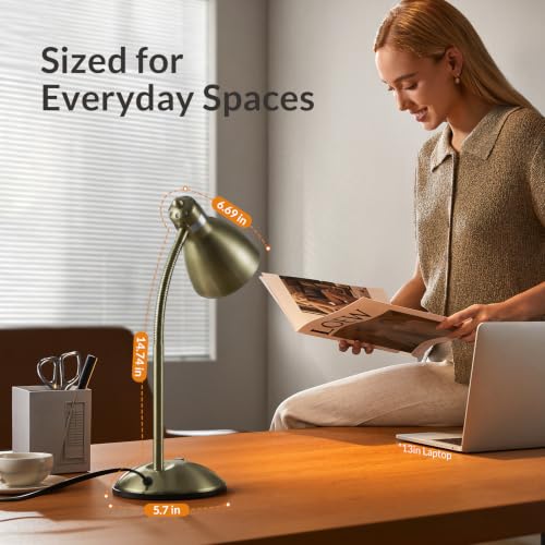Metal Desk Lamp