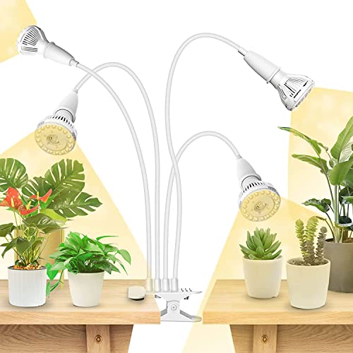 Grow Lights for Indoor Plants
