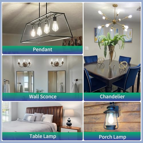 8Pack Dimmable Vintage LED Edison Bulbs (12 Count)
