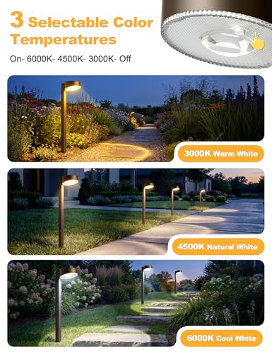 Solar Pathway Lights