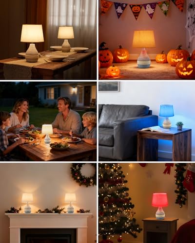 13" H Small Rechargeable Cordless Ceramic Table Lamp