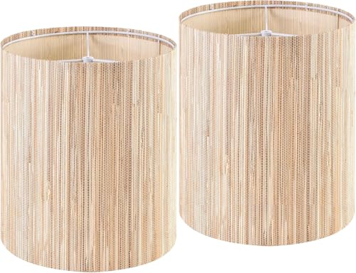 10 Inch Drum Boho Lamp Shades for Table Lamps Set of 2 (2 Count)