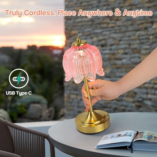Cordless Table Lamp