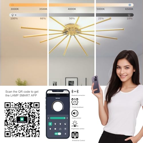Modern LED Ceiling Light