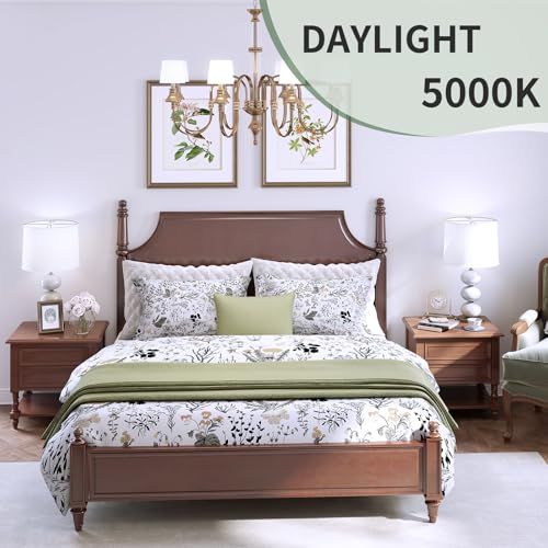 A19 LED Light Bulbs (4 Count)