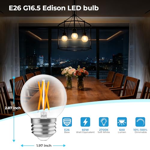 E26 G16.5 Edison Globe LED Bulb (6 Count)