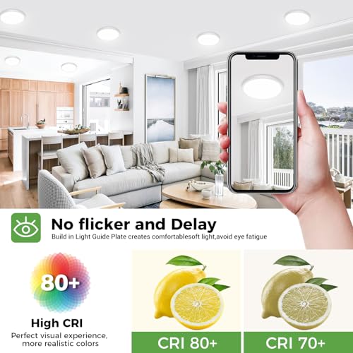 LED Ceiling Light 6.5 Inch (2 Count)