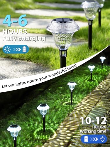 Solar Pathway Lights (6 Count)