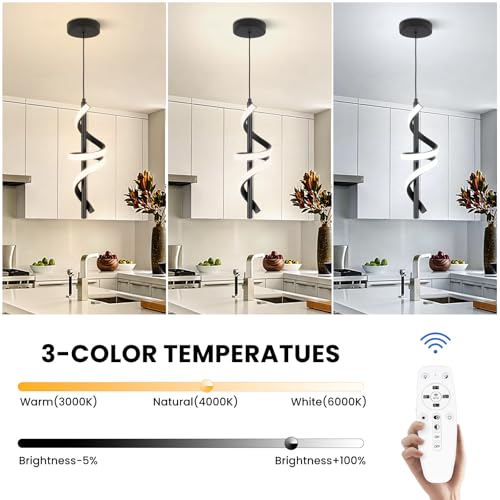 Black Pendant Light Fixtures
