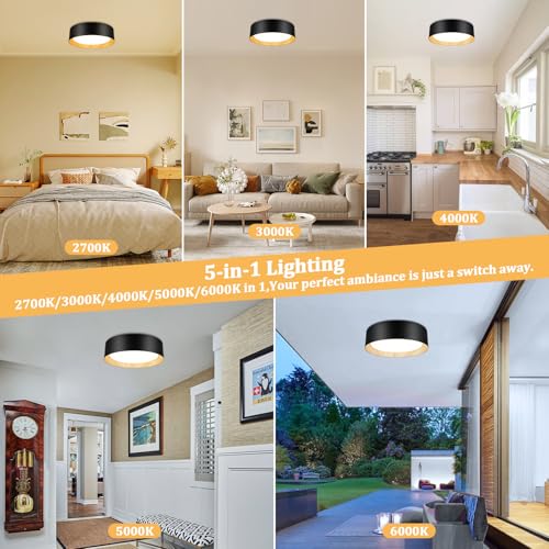 Flush Mount Ceiling Light (2 Count)