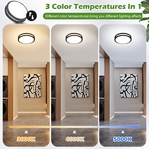 12 Inch Flush Mount Ceiling Lights (2 Count)