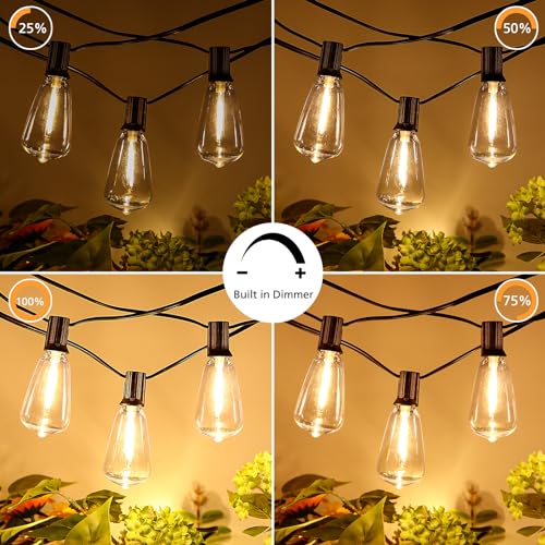 Dimmable Outdoor String Lights with Remote