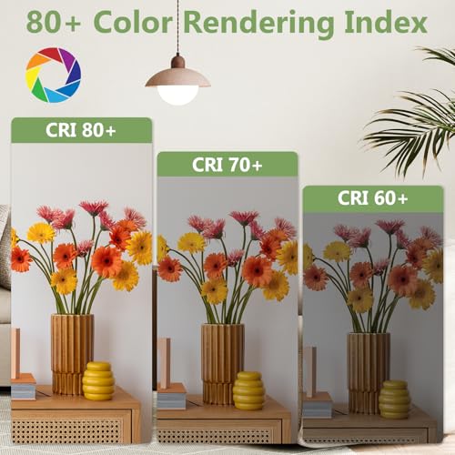 A19 LED Light Bulbs 60W Equivalent (4 Count)