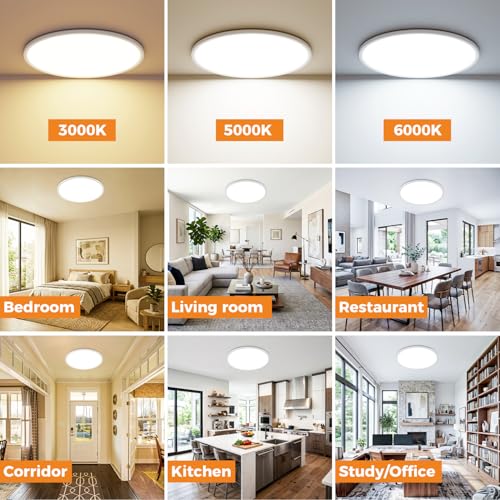 20Inch Big Dimmable Flush Mount LED Ceiling Light Fixture