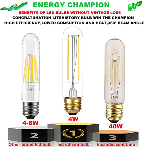 Dimmable T10 E26 LED Bulb (6 Count)