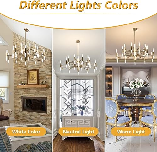 Lighting Brushed Brass 40