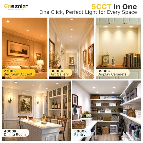 12 Pack 3 Inch LED Recessed Ceiling Light (12 Count)