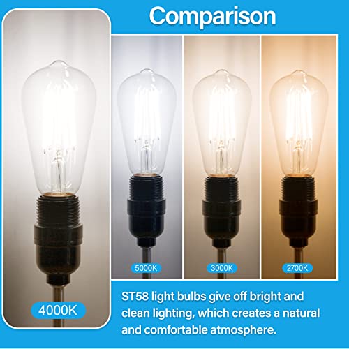 Vintage LED Edison Bulbs 60 Watt Equivalent (12 Count)