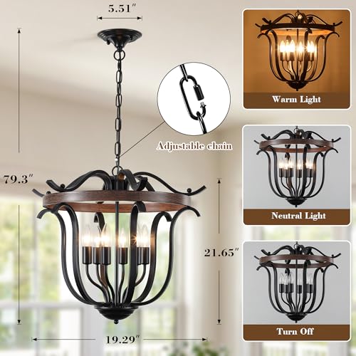 20" Black Farmhouse Chandelier for Dining Room 6 Light Cage Light Fixture