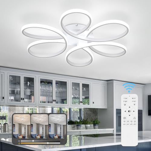 26inch Modern LED Ceiling Light