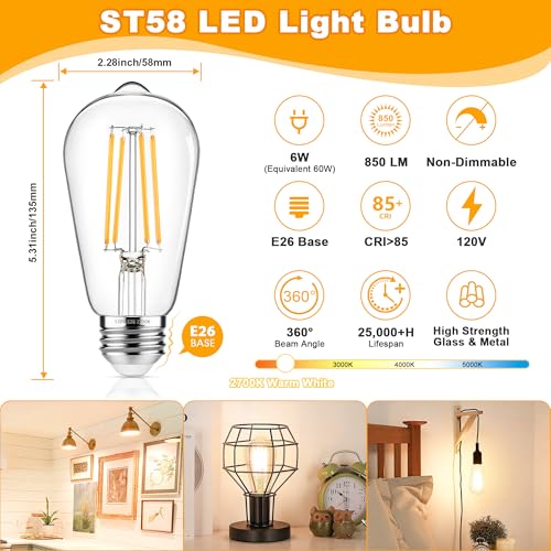 4 Pack Vintage Edison Bulbs 60W Equivalent (4 Count)