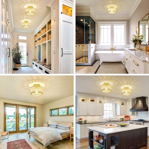 Crystal Ceiling Light