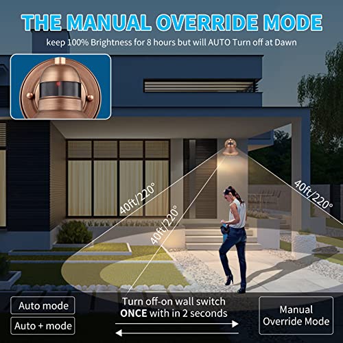 Motion Sensor Outdoor LED Barn Light Dusk to Dawn Exterior Wall Lantern