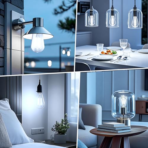 4Pack Edison Light Bulbs (4 Count)