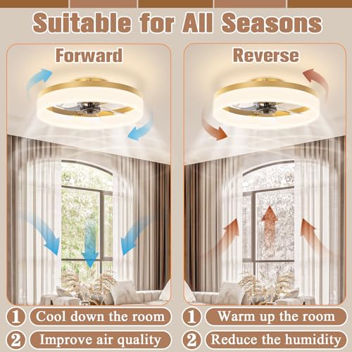 Low Profile Ceiling Fans with Lights and Remote