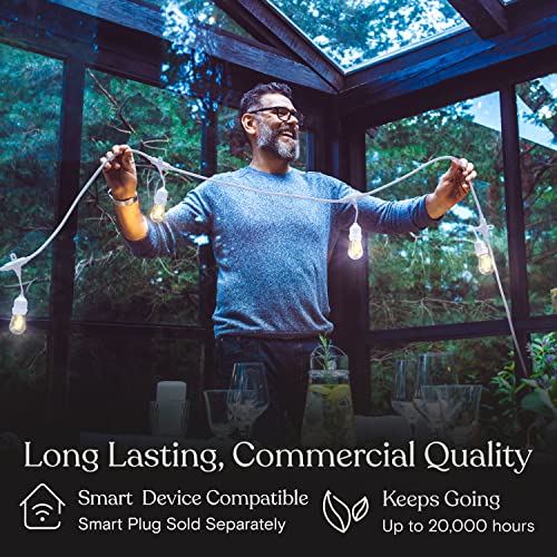 Ambience Pro Waterproof LED Outdoor String Lights (48 Foot)