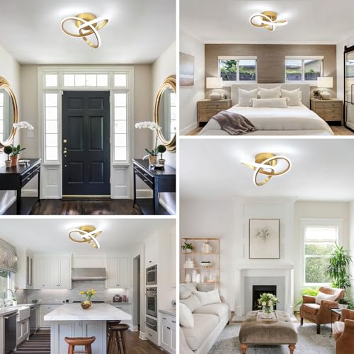 Modern Led Ceiling Light Fixture