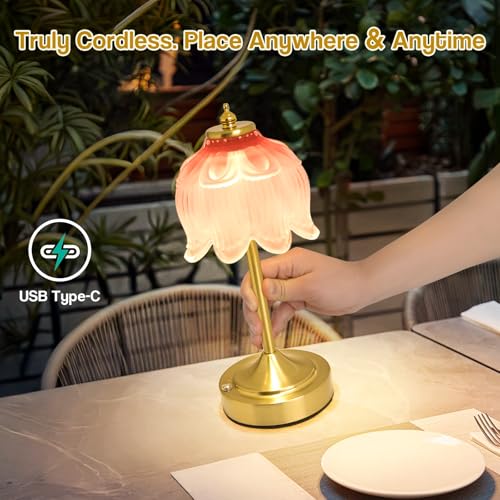 Cordless Table Lamp