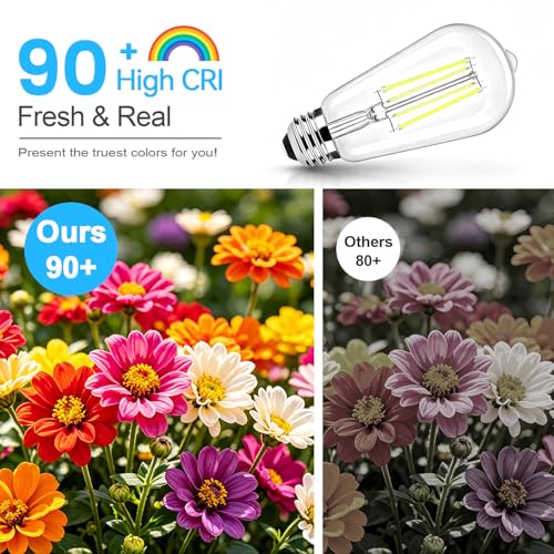 Vintage LED Edison Bulbs 60 Watt Equivalent (6 Count)