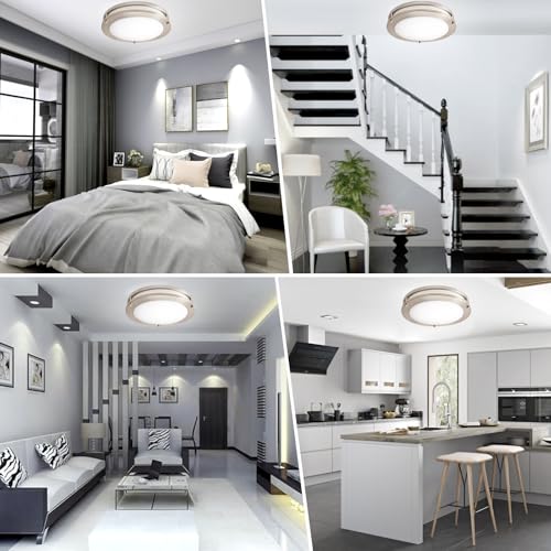 10inch LED Flush Mount Ceiling Light Fixture Dimmable Brushed Nickel (4 Count)