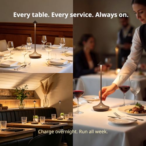 Cordless Rechargeable Table Lamp