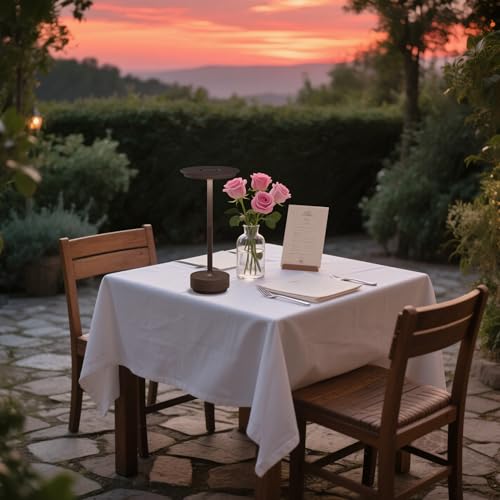 1 Pack Cordless Table Lamps Rechargeable