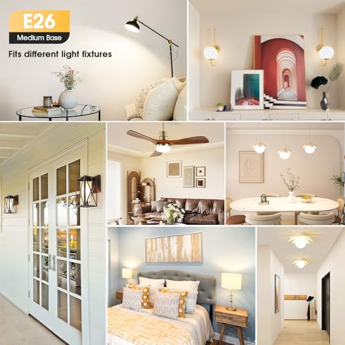 A19 LED Light Bulbs (24 Count)