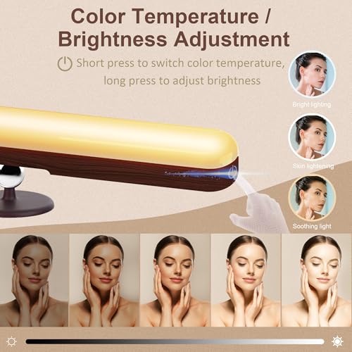 2 Pack Rechargeable Vanity Lights for Mirror (2 Count)