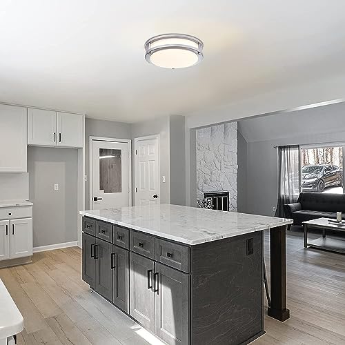Brushed Nickel Ceiling Light