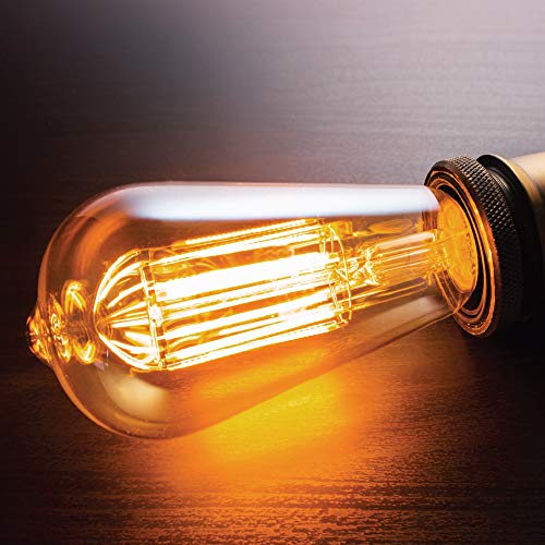 ST64INC 6 ST64 Vintage Light Bulb 6 (6 Count)