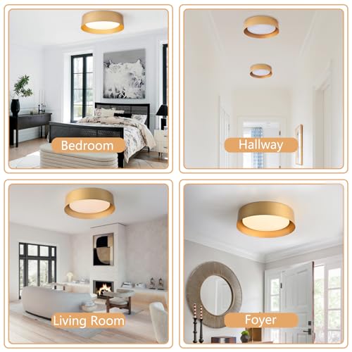 Gold Flush Mount Ceiling Light