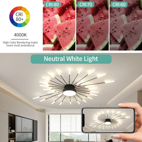 Modern Ceiling Light