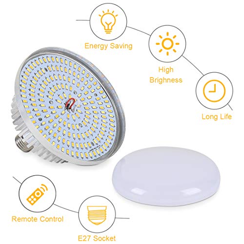 Softbox Continuous Lighting Kit 1 Pack for Camera Photo Video Photography Studio Light with 28'' x 28''Octagon Softbox and Dimmable Super Bright Bulb